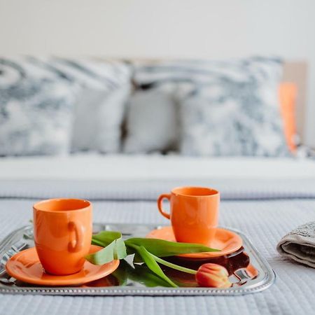 Garden Apartment كراكوفيا المظهر الخارجي الصورة