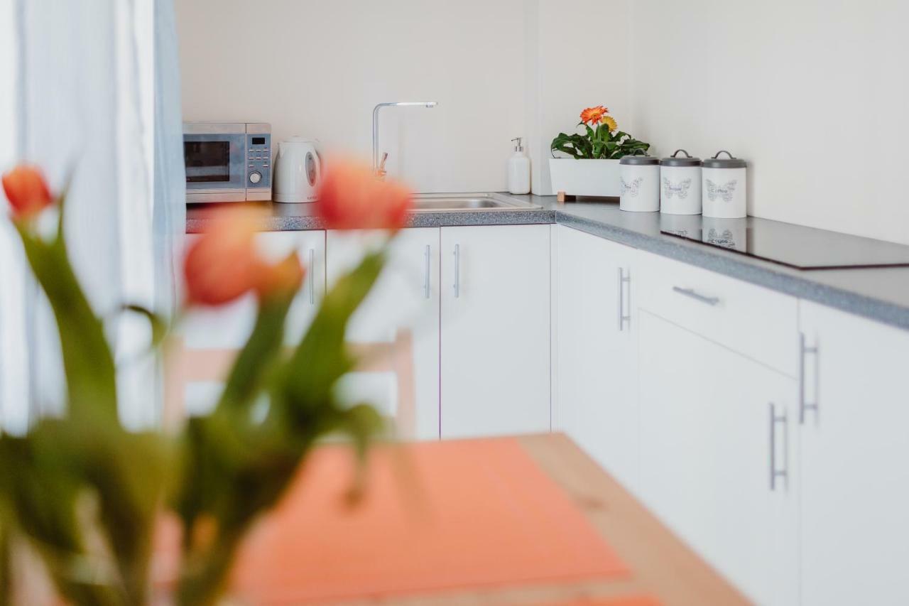 Garden Apartment كراكوفيا المظهر الخارجي الصورة