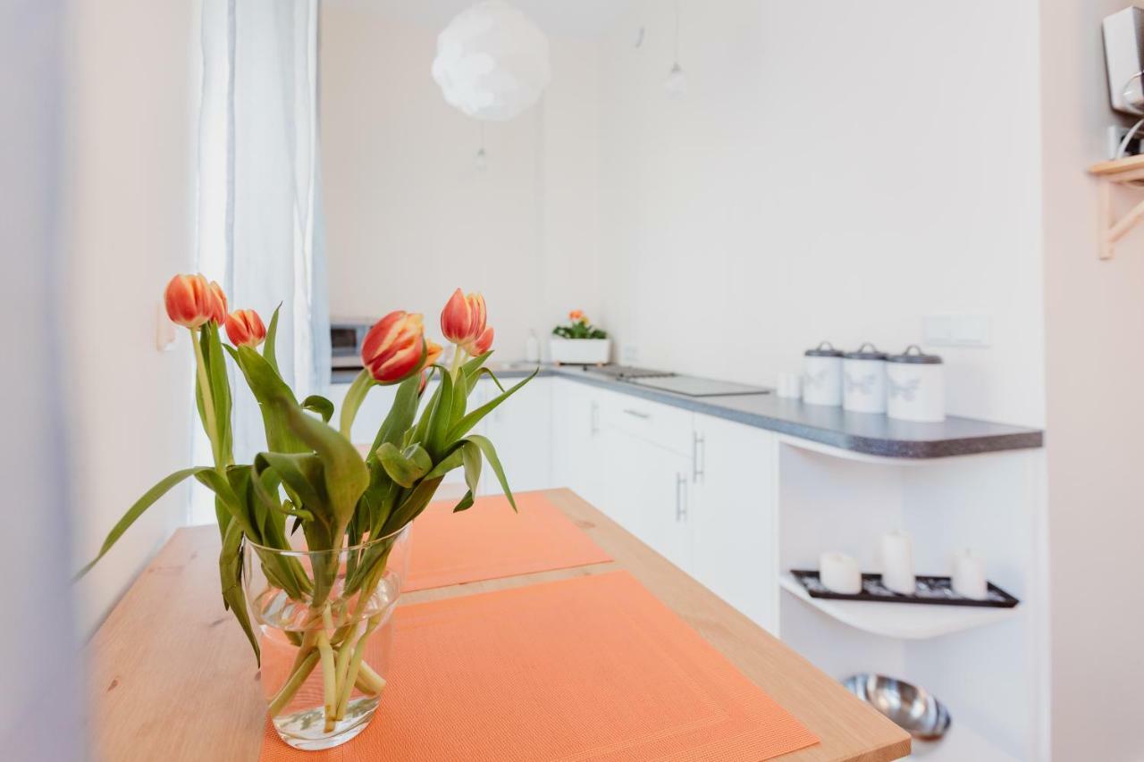 Garden Apartment كراكوفيا المظهر الخارجي الصورة